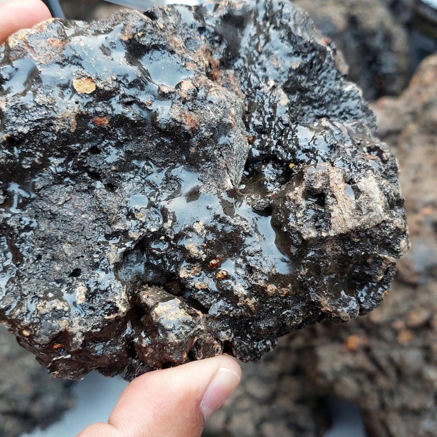 Shilajit authentique vs faux : comment reconnaître la qualité